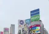 일본 32강 진출 시부야 근황.mp4