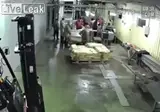 다들 점심 먹고와요.gif