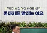 주식 물타기 하면 안되는 이유