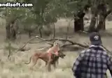 철권) 신 트레일러에 등장한 밈.GIF