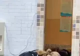 밥먹다 오류 걸린 홀란드