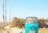 의외로 빛나는 중국 미신.gif