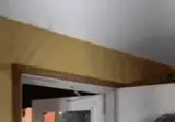 나랑 같이 자는 돼지야.gif