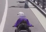 이환) 정신나간 게임 근황 gif