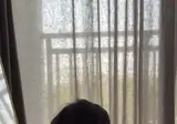 벌처 75원이 맞냐고 개발자에게 물었다
