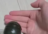 핸들링이 가능한 공벌레
