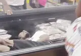 " 어질어질 유럽 폭염 최근 근황 .... " . GIF