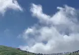 요즘 제주도 근황