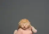 생후 3일부터 11개월까지