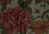요즘 핫한 영크크게임 '멧챠 카멜레온'