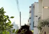 패션잡지 표지모델의 비결