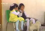 80년대 초여름 강원도 풍경.gif