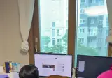 마우스패드가 된 고양이