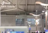 인천공항 중국관광객들 근황