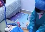 무허가 동물병원의 충격적인 수술 근황