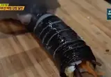 부산 비빔김밥