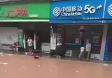 독사 때문에 난리난 중국 광시성 근황