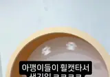아직 캣휠을 못타는 아기 고양이들