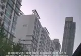 유치원 다녀와서 떡실신한 강아지