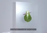 천재적이라는 강유미 현대미술 도슨트.avi