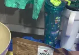 임성근 갈비탕 근황