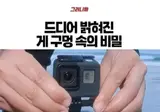 드디어 밝혀진 게 구멍 속의 비밀
