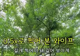와이프 다리 길게 나오도록 사진 찍어주기