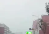 길 가다가 출산한 BYD 자동차