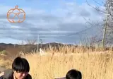 남자들의 원초적 개꿀잼 논쟁 ㅋㅋㅋ