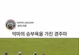 주인이 떨어지자 말이 한 행동.MP4