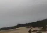 매드맥스 정모