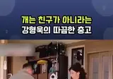 개는 친구가 아니라는 강형욱의 따끔한 충고