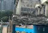 오늘자 오션월드.gif