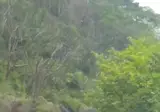 오늘자 똥 못참아서 휴게소까지 뛴 사람