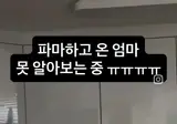 파마하고 온 엄마 못 알아보는 고양이