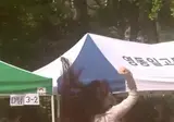 요즘 고등학교 여고생 춤실력