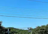 외국인 노동자 올림픽