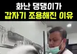 애견 미용실에서 무는개 다루는 법 ㄷㄷ