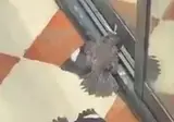 야, 연기력 안되면 꺼져라