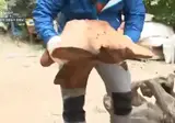 나는 자연인이다에 나온 탐나는 의자.mp4