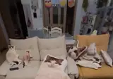 고민없이 행복한 냐옹이