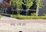 예상할 수 없는 아기들의 패턴 mp4