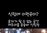 요즘 유행하는 혼술바에 찐따가 들어가면 안되는 이유