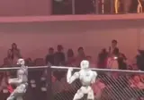중국의 로봇 UFC