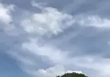 최근 자라니 크루 레전드.gif