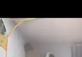 높은 곳 올라가고 싶은 건 알겠는데 제발 캣타워로 올라가자 😭