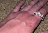 사람을 산채로 뜯어먹는 식인 동물.mp4
