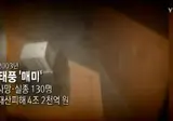 와 꼬꼬무 봤는데 매미라는 태풍 뭐야 이거ㄷㄷㄷ
