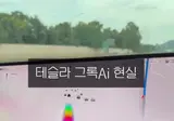 후드랭기쥐에 오염된 테슬라 그록 근황