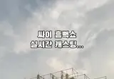 싸이 콘서트중 캐스팅 여중생, 연습생 아닙니다 루머 해명